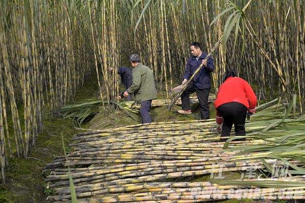 花哥砍传奇,永恒之怒176复古